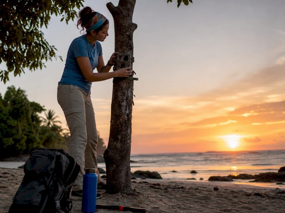 Volunteer setting up camera trap in forest
